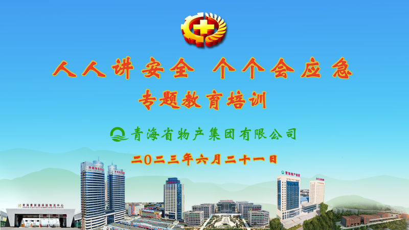 提高安全管理水平 落實(shí)全員安全責(zé)任——集團(tuán)安委會(huì)舉辦2023年“人人講安全，個(gè)個(gè)會(huì)應(yīng)急”專題教育培訓(xùn)
