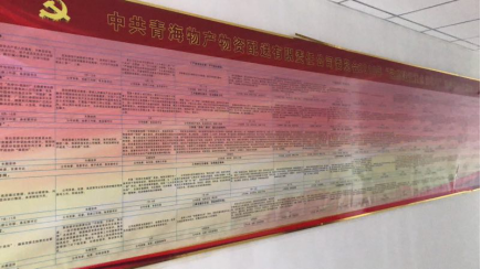物產(chǎn)配送公司黨委“黨的建設重點強化年”活動2018年工作任務、組織保障具體化